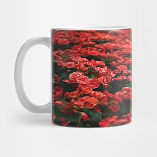 Red Petaled Flower Field Mug